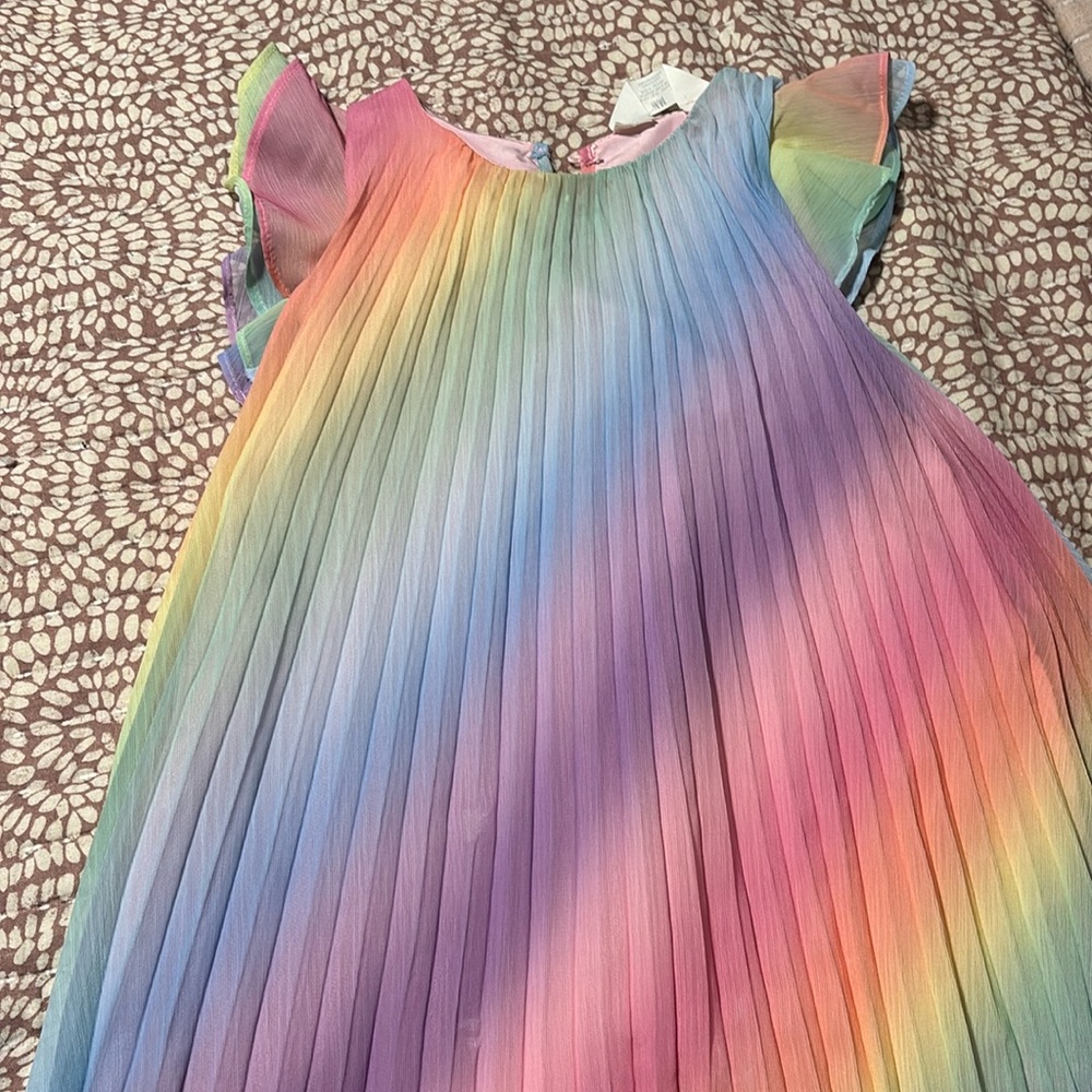 Ruffle sleeve rainbow pleated dress